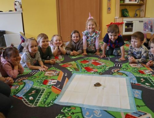 Warsztaty przyrodniczo – kulinarne. Grupa 2