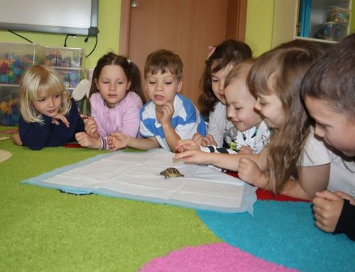 Warsztaty przyrodniczo – kulinarne. Grupa 3